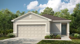 Spruce - Palm Wind: Hudson, Florida - Taylor Morrison