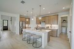 Cross Creek Meadows 55s - Celina, TX
