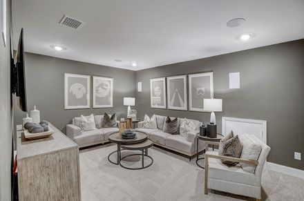2 Story Ceiling