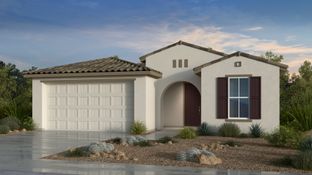 Regal - Artisan at Asante Encore Collection: Surprise, Arizona - Taylor Morrison