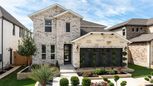 Nolina 45s - Georgetown, TX