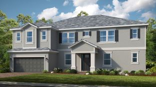 Tradewinds - Victoria Lakes: Odessa, Florida - Taylor Morrison