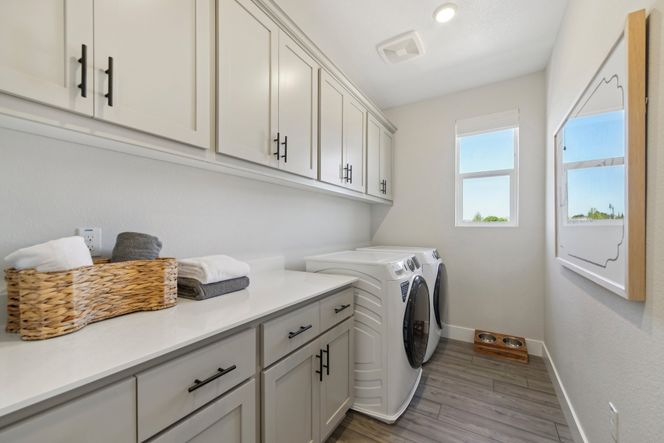 Mulberry Laundry