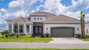 Pallazio - Esplanade at Wiregrass Ranch: Wesley Chapel, Florida - Taylor Morrison