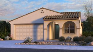 Edmonton - Paradisi Discovery Collection: Surprise, Arizona - Taylor Morrison