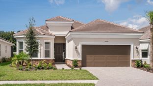 Lazio - Esplanade at Wiregrass Ranch: Wesley Chapel, Florida - Taylor Morrison