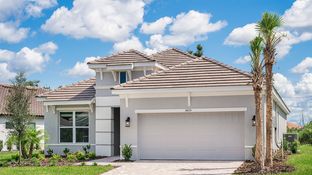 Lazio - Esplanade by the Islands: Naples, Florida - Taylor Morrison