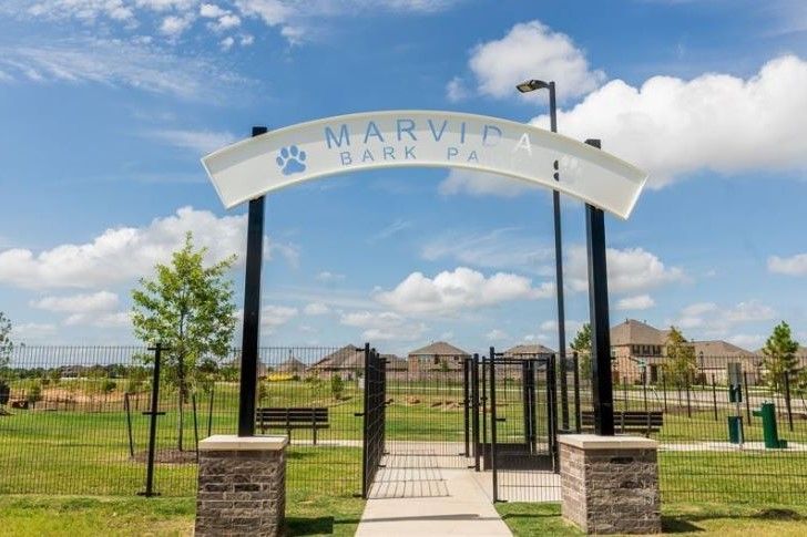 Marvida_Bark Park