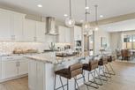 Combs Ranch Journey Collection - San Tan Valley, AZ