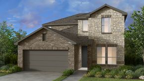 Nolina 45s - Georgetown, TX