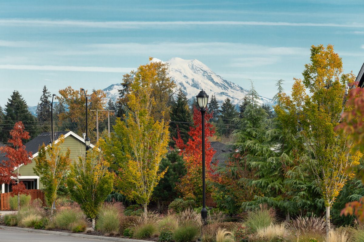 Ovation at Oak Tree Mt Rainier Fall Colors...