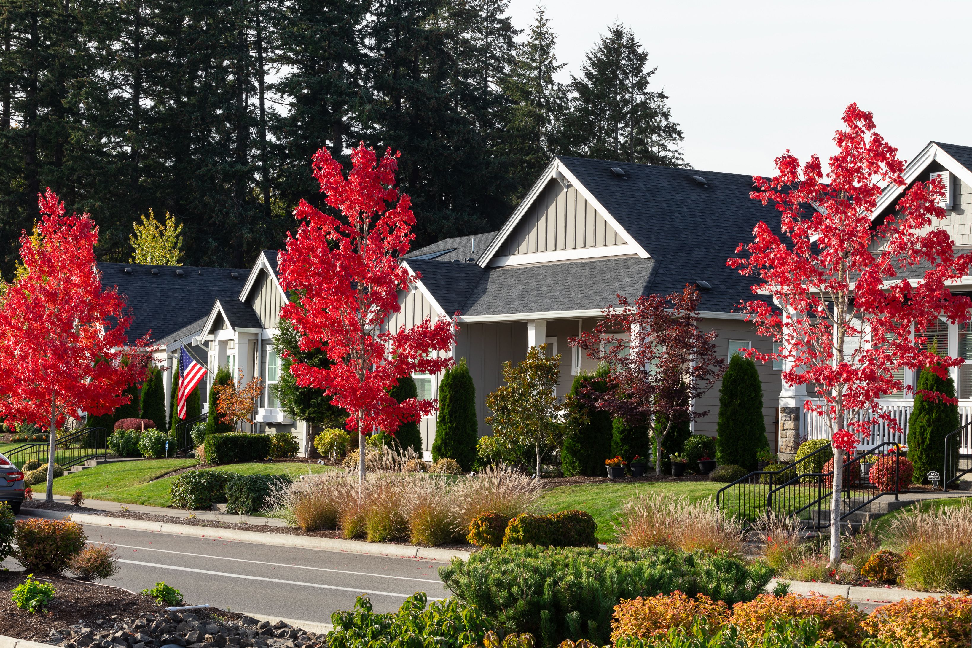 Ovation at Oak Tree Streetscape Fall Colors ...