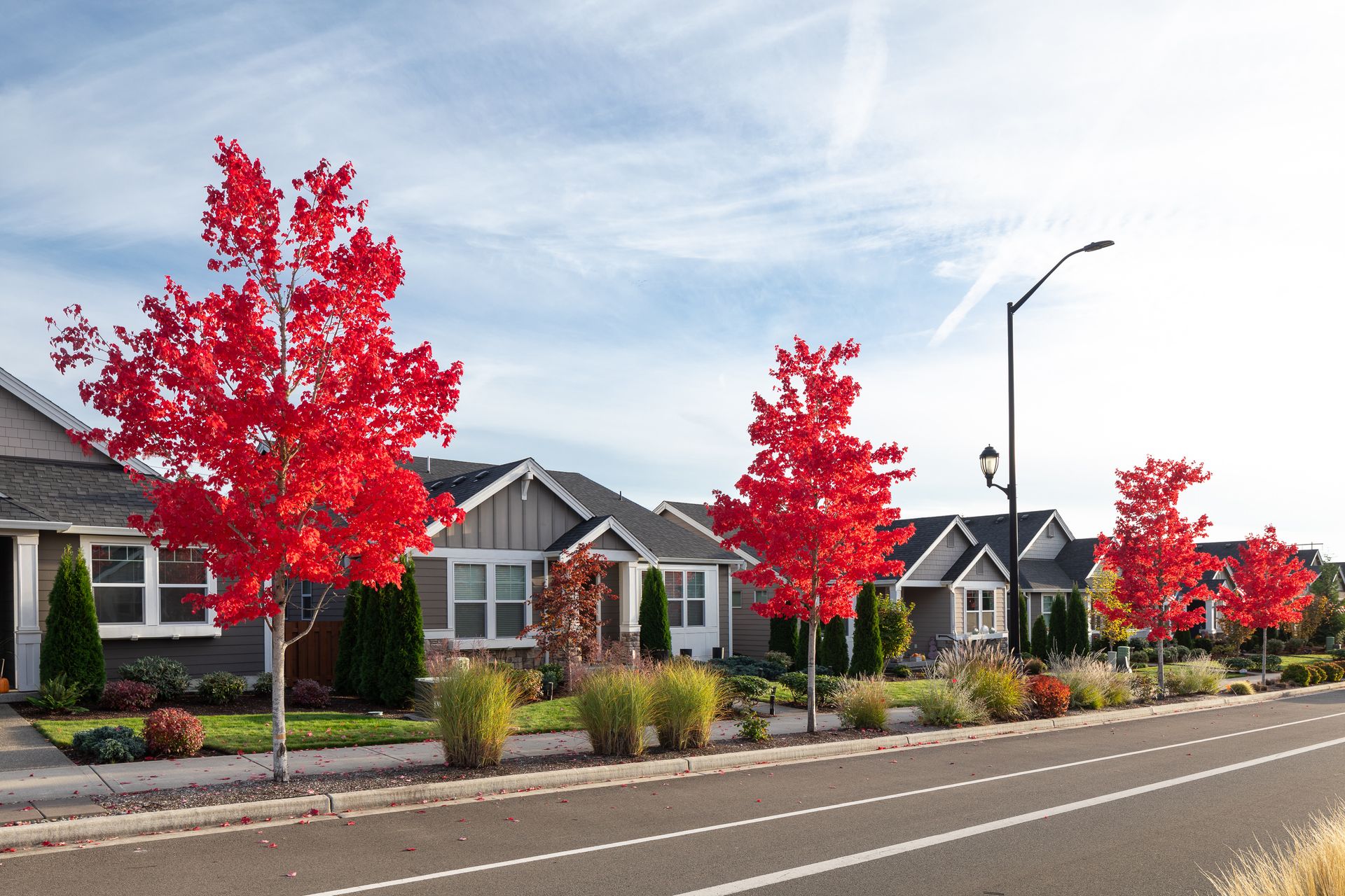 Ovation at Oak Tree Streetscapes Fall Colors 6