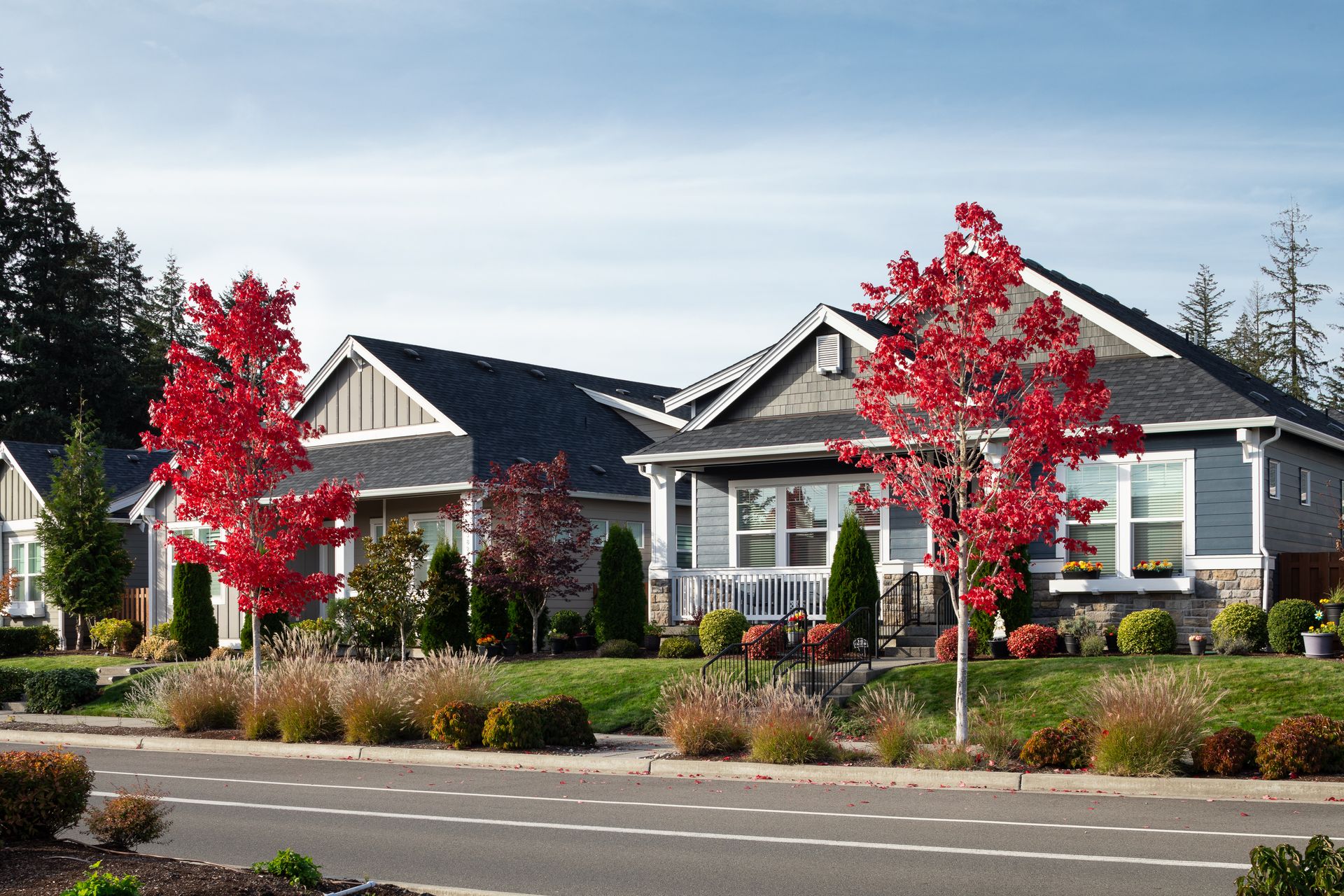 Ovation at Oak Tree Streetscape Fall Colors...