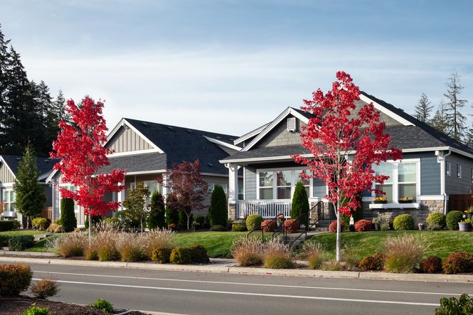 Ovation at Oak Tree Streetscape Fall Colors...