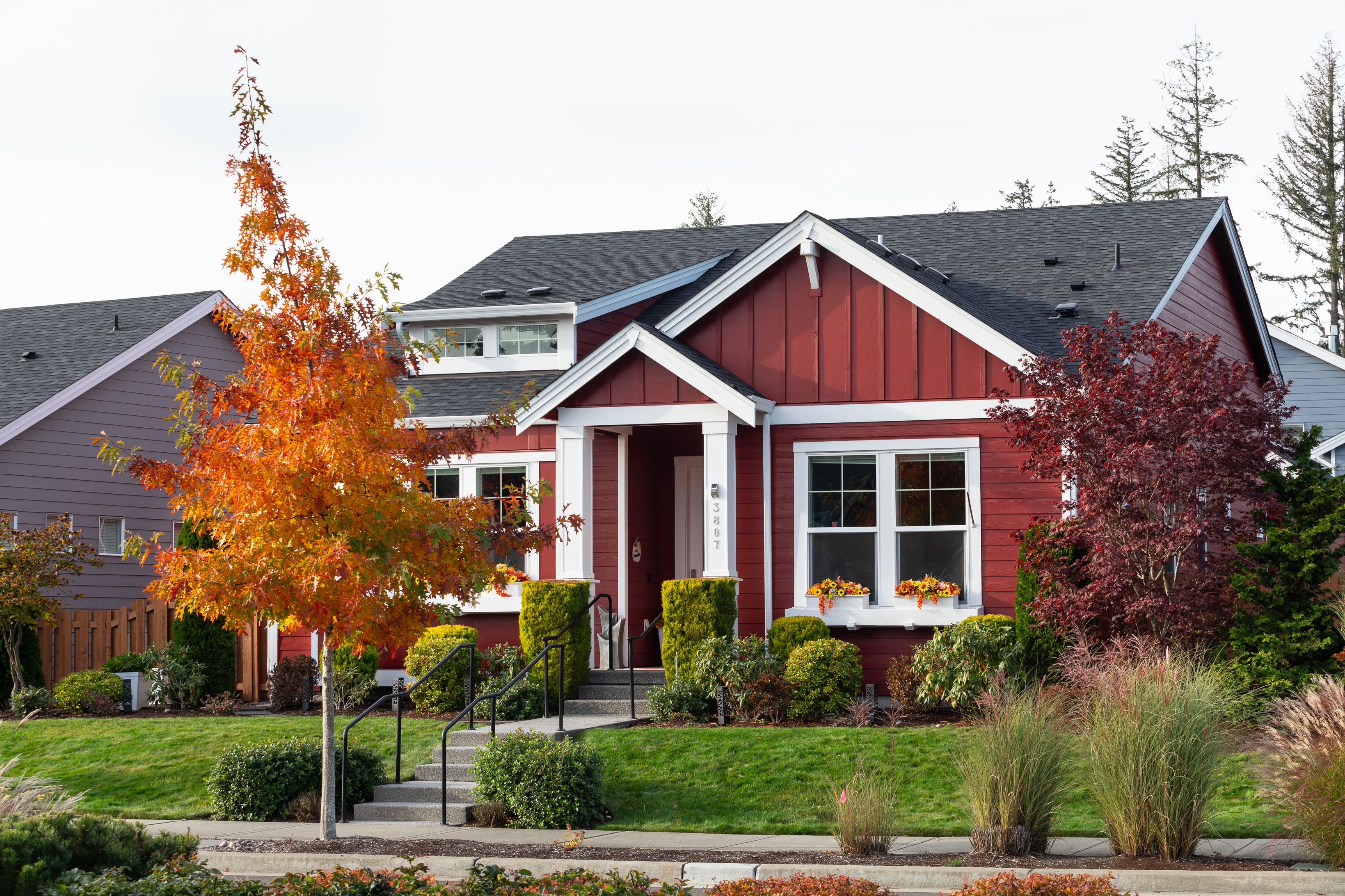 Ovation at Oak Tree Streetscape Fall Colors...