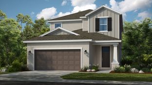 Santa Rosa - Indigo Creek: Apollo Beach, Florida - Taylor Morrison