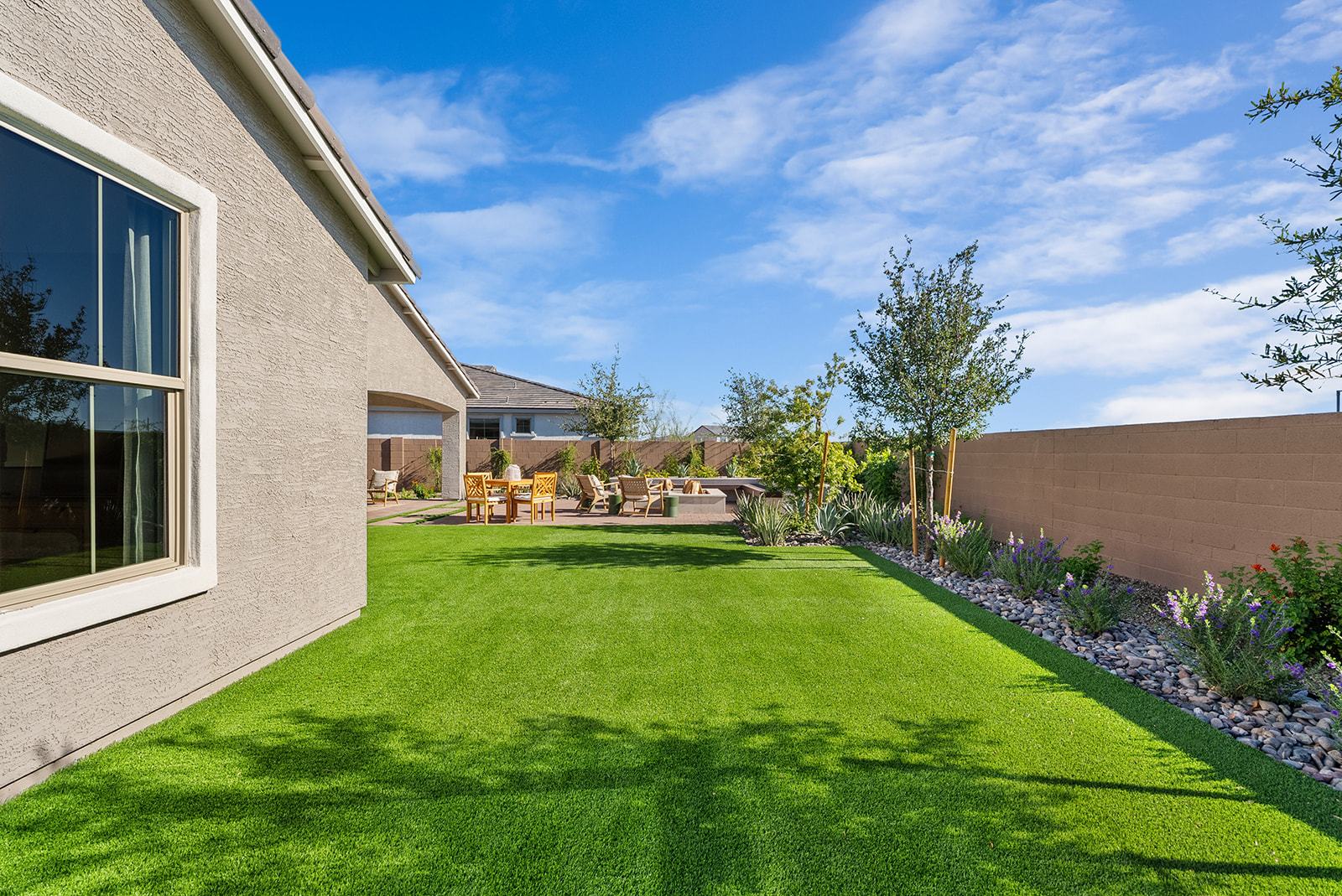 Backyard  2