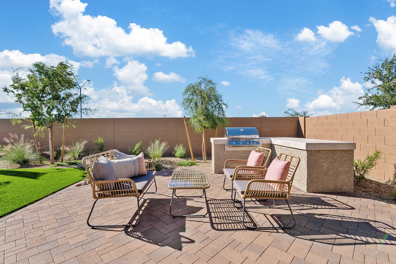 Asante DiscoveryOnyx ModelBackyard 1