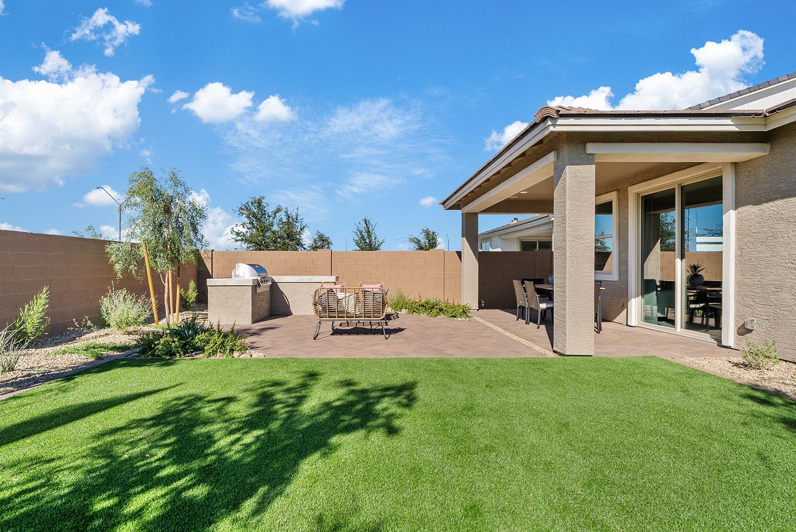 Asante DiscoveryOnyx ModelBackyard 2