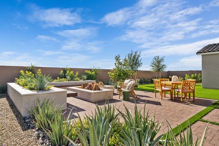 Backyard  4