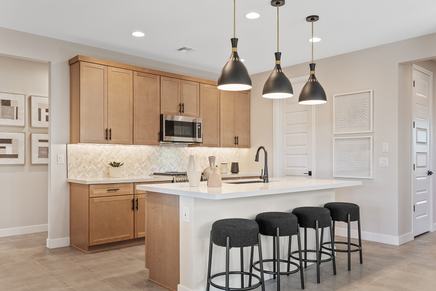 Asante Encore RegalKitchen 3