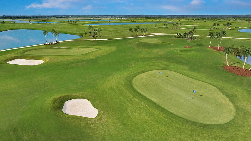ACCC-Chipping-Green