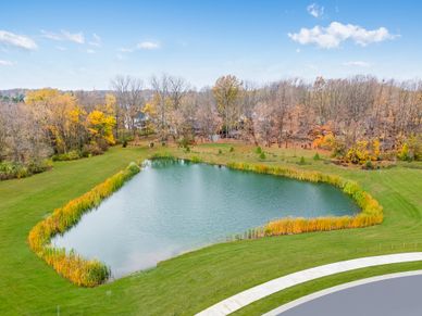 Pond