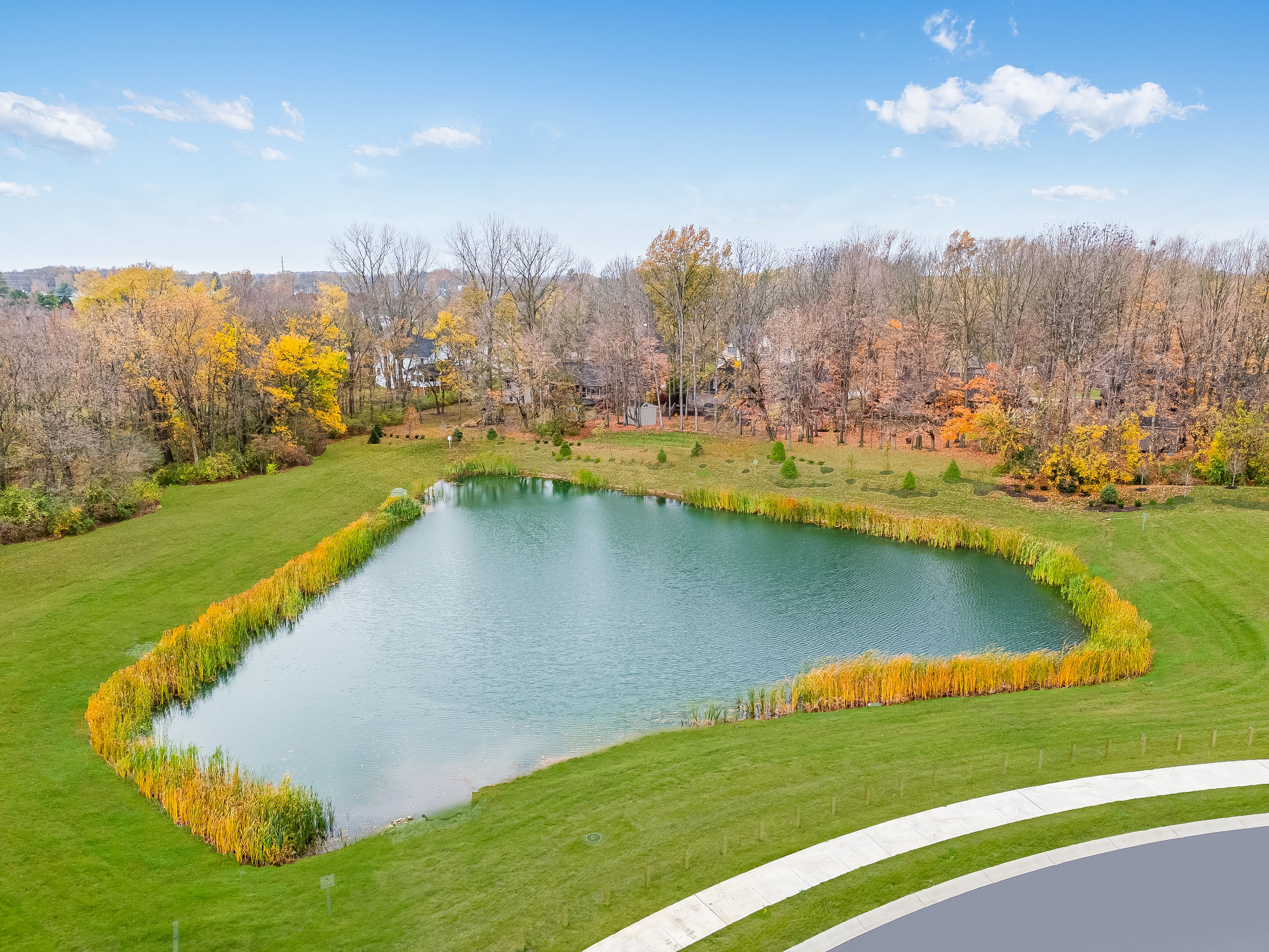 Pond