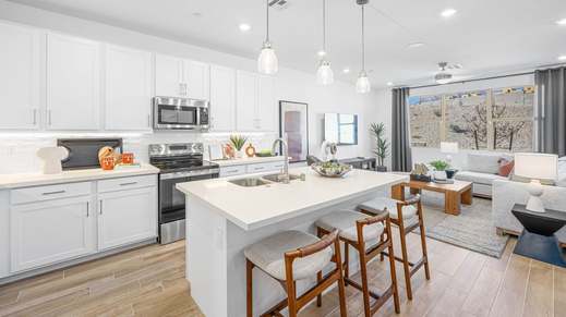 7-custom-TM Lark Hill Unit 1-09