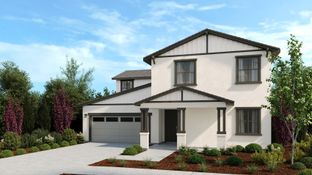Lacewood - Paddlewheel at River Islands: Lathrop, California - Taylor Morrison
