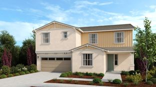 Lily - Paddlewheel at River Islands: Lathrop, California - Taylor Morrison