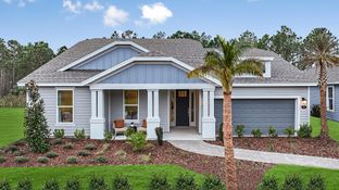 Azores - Colbert Landings: Palm Coast, Florida - Taylor Morrison