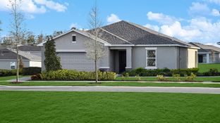 Magnolia - Waterstone: Groveland, Florida - Taylor Morrison