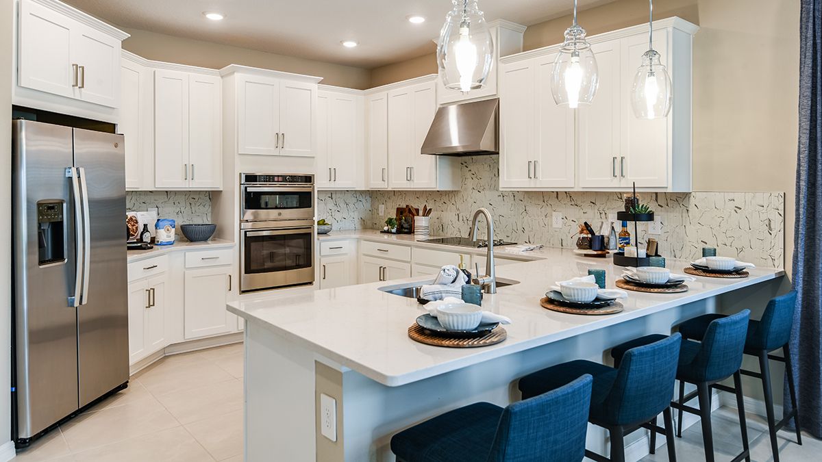 Aden-North-Anastasia-2527-1200x675