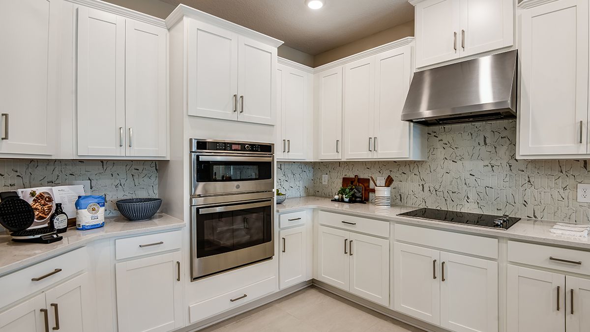 Aden-North-Anastasia-2538-1200x675