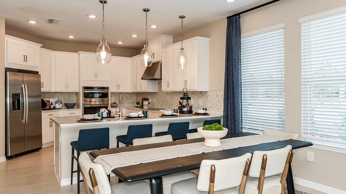 Aden-North-Anastasia-2553-1200x675