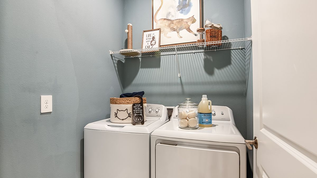 Aden-North-Anastasia-2586-1200x675