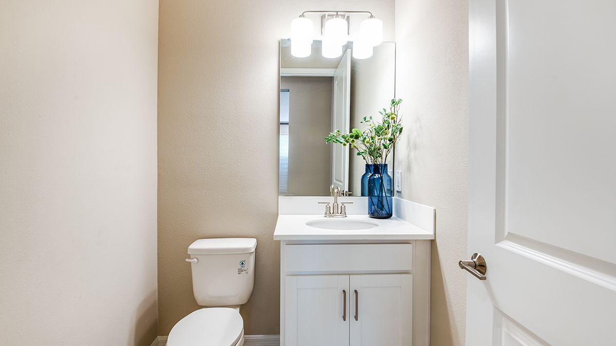 Aden-North-Anastasia-2593-1200x675