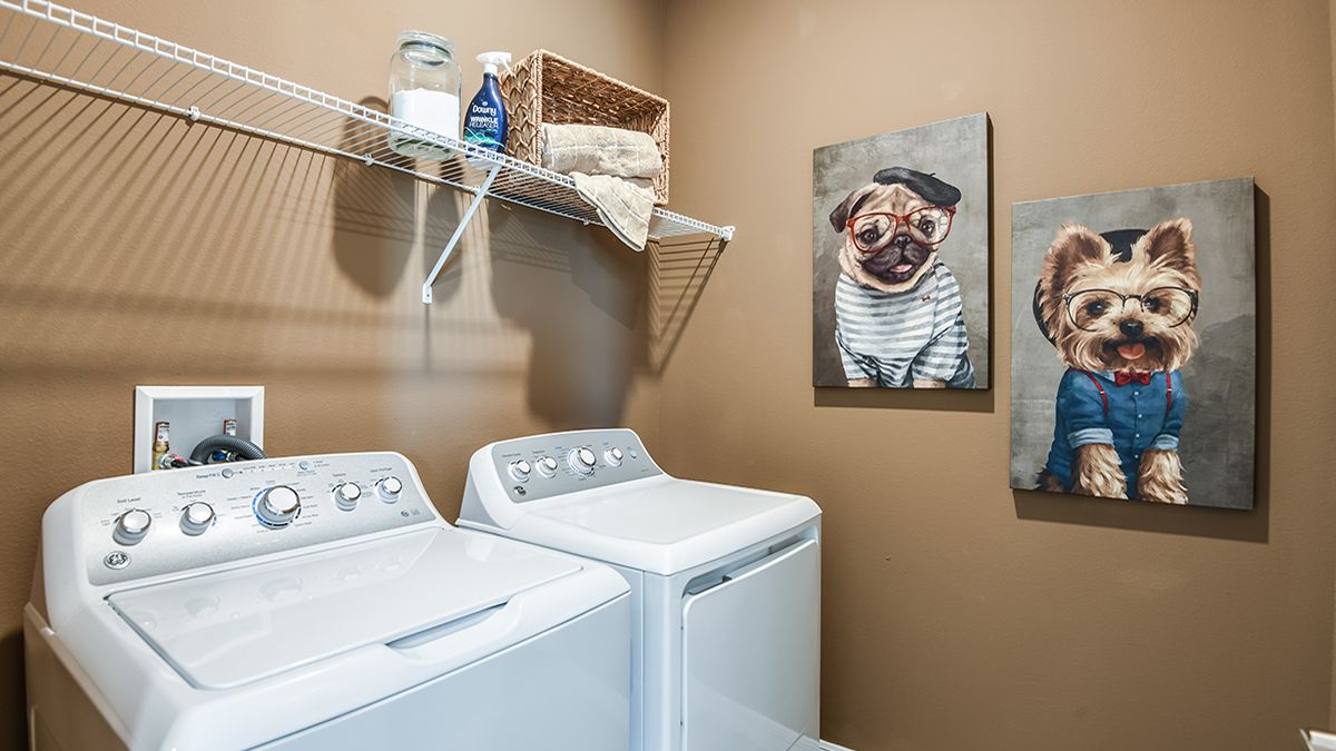 Aden-North- Grenada-2376-1200x675