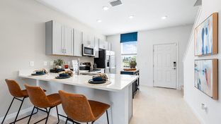 Ivy - The Townhomes at Azario Lakewood Ranch: Lakewood Ranch, Florida - Taylor Morrison