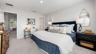 Ivy - The Townhomes at Azario Lakewood Ranch: Lakewood Ranch, Florida - Taylor Morrison