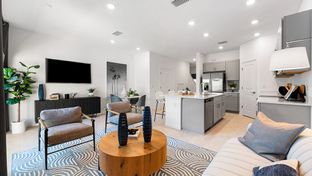 Jasmine - The Townhomes at Azario Lakewood Ranch: Lakewood Ranch, Florida - Taylor Morrison