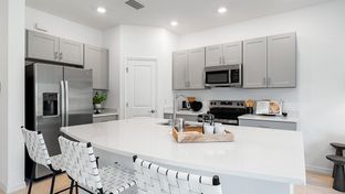 Jasmine - The Townhomes at Azario Lakewood Ranch: Lakewood Ranch, Florida - Taylor Morrison