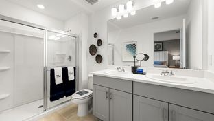 Jasmine - The Townhomes at Azario Lakewood Ranch: Lakewood Ranch, Florida - Taylor Morrison