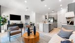 The Townhomes at Azario Lakewood Ranch - Lakewood Ranch, FL