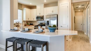 Caicos - Esplanade at Center Lake Ranch: Saint Cloud, Florida - Taylor Morrison