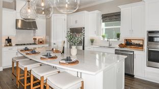 Lazio - Esplanade at Center Lake Ranch: Saint Cloud, Florida - Taylor Morrison