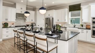 Pallazio - Esplanade at Center Lake Ranch: Saint Cloud, Florida - Taylor Morrison