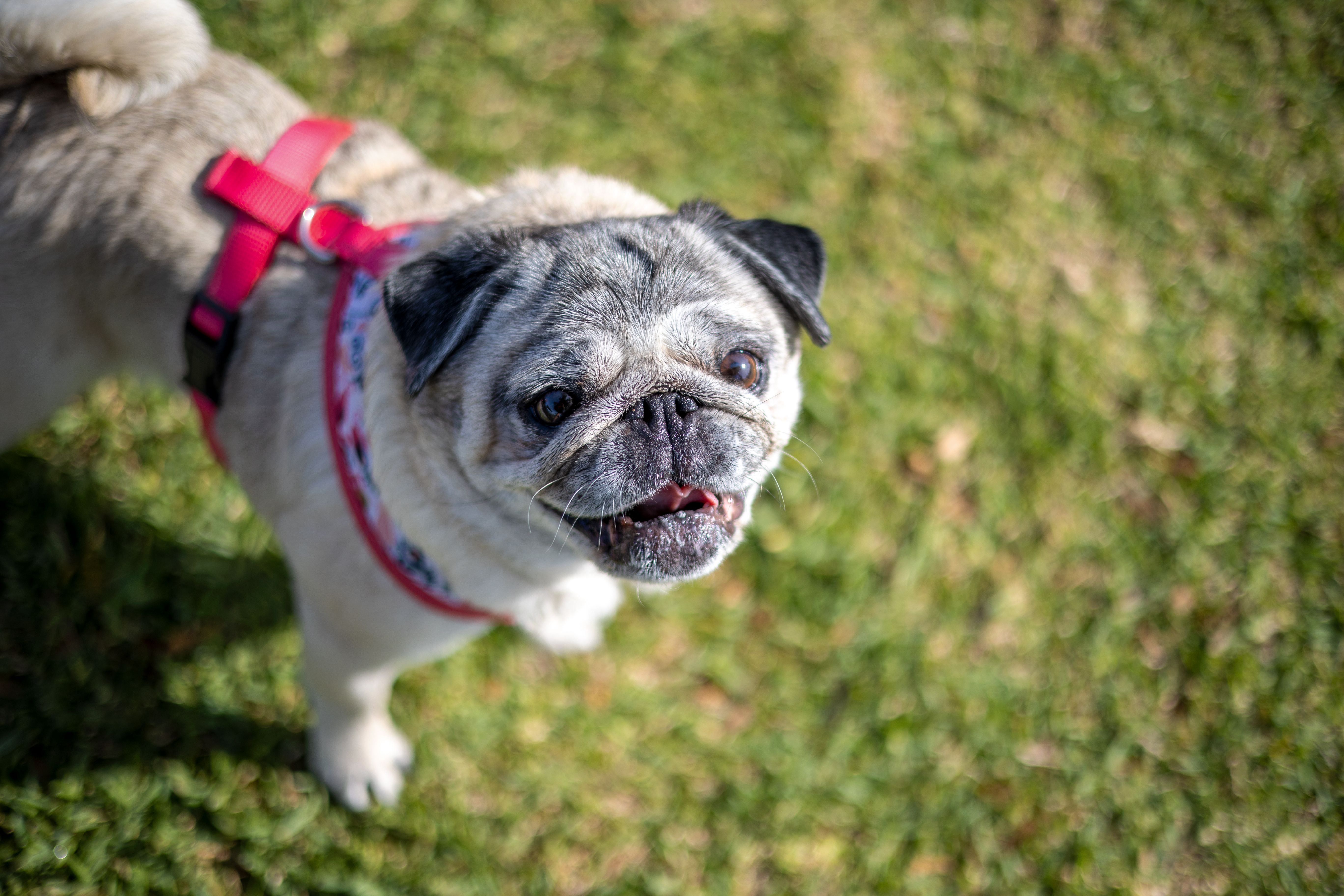 2022_05_06_ArtisanLakesPAWty_CWP27